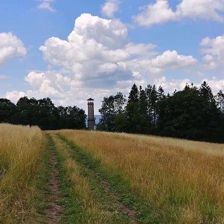 Flat Near The Castle *