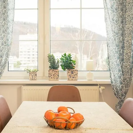 公寓 Flat Near The Castle 德辛