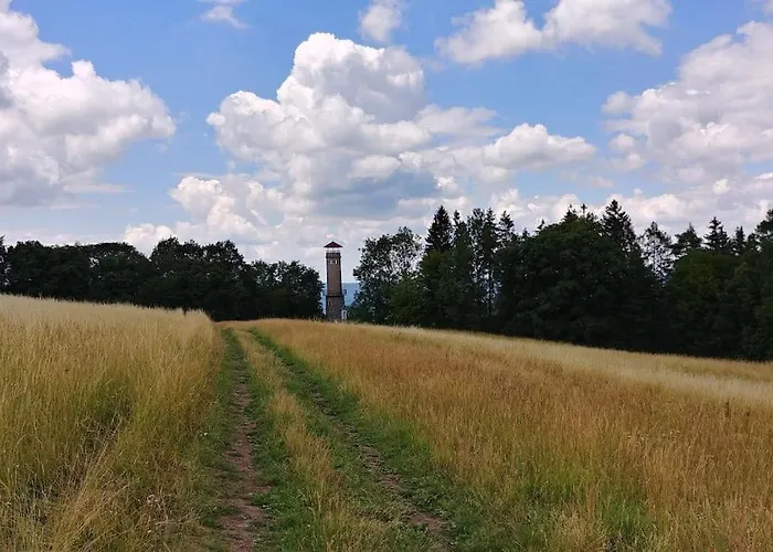 Flat Near The Castle *